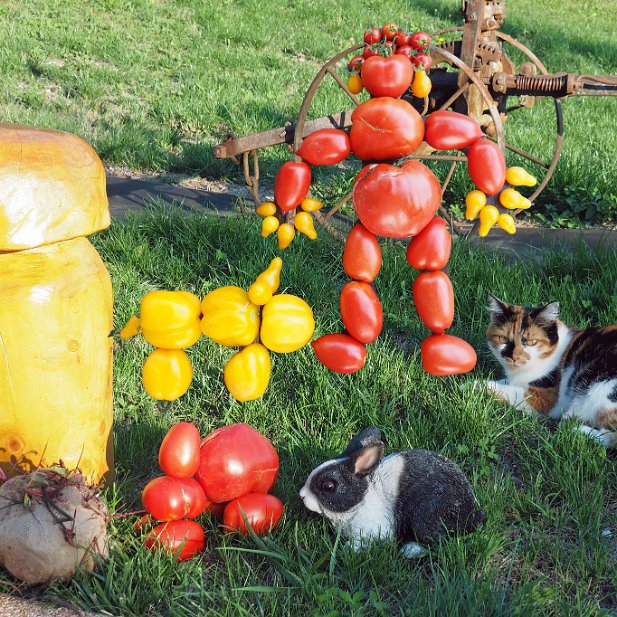 tomate à toutes les sauces