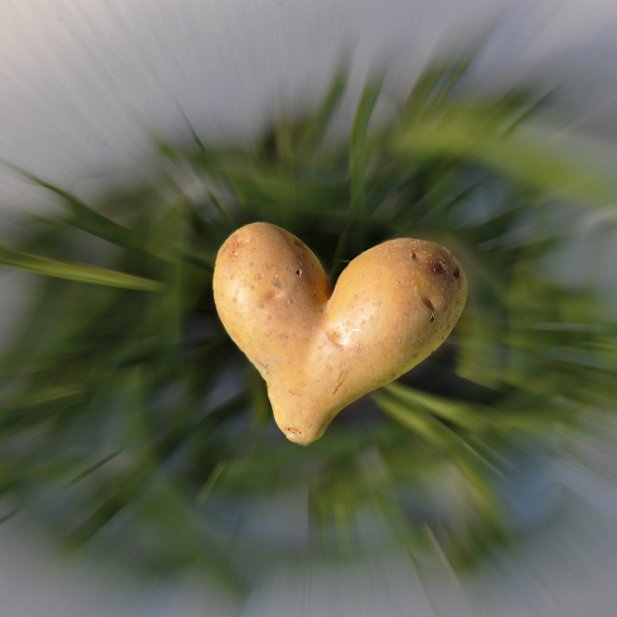 Pomme de coeur . coup de coeur