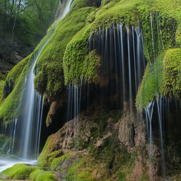 Cascade verte . 1ère et coup de coeur