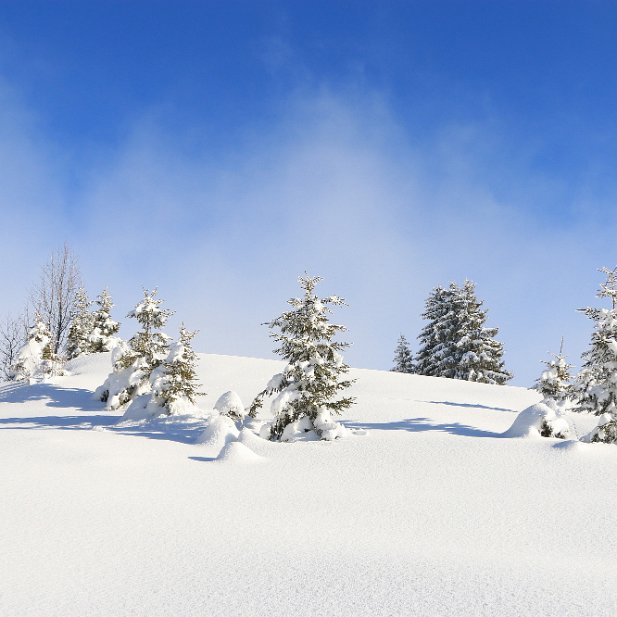 Journée d'hiver à Beauregard Hiver 2017