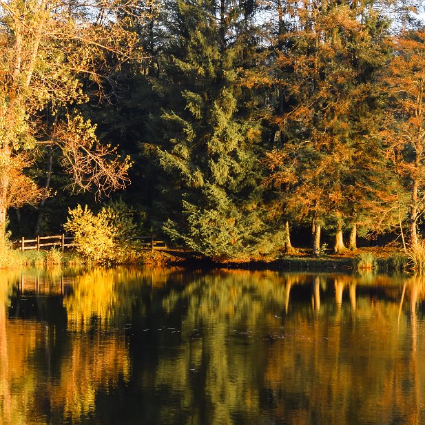 Reflet d'automne