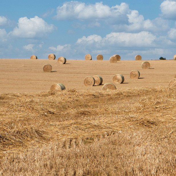 Après la moisson