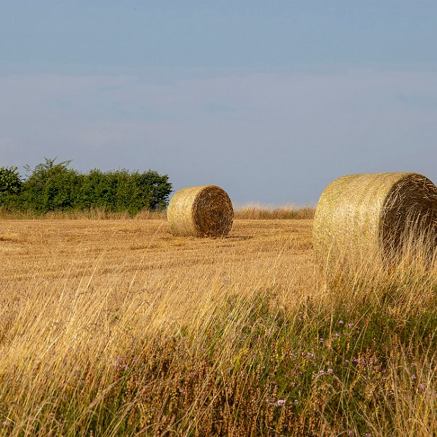 paille roulée