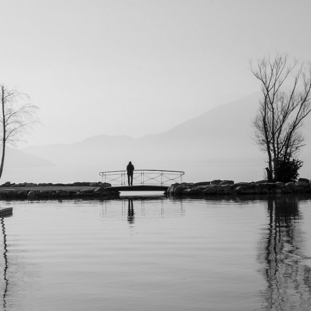 Solitude contemplative 2ème ex aequo