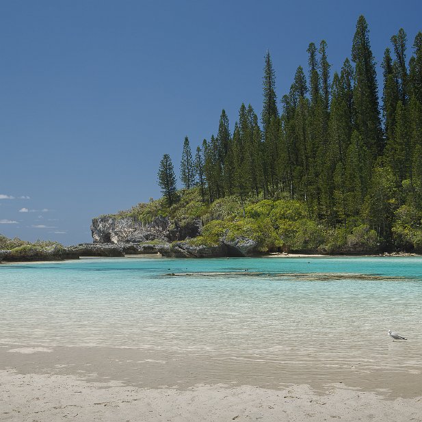 Nouvelle-Calédonie Piscine naturelle de l'île des Pins