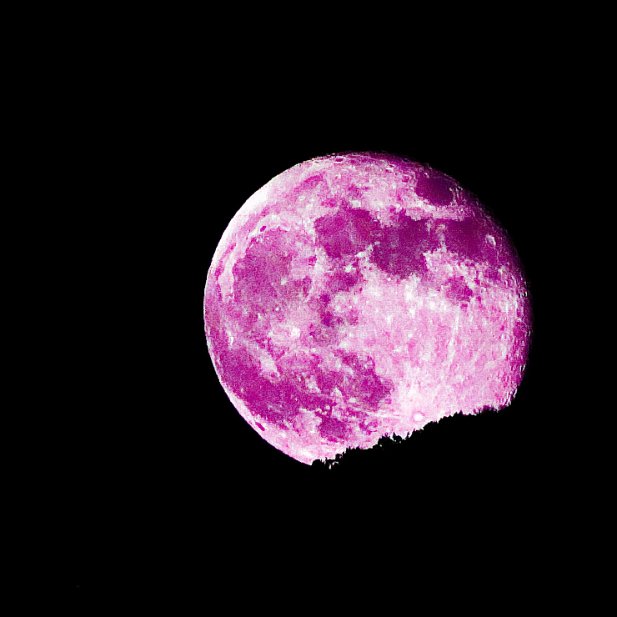 Soir de lune mauve