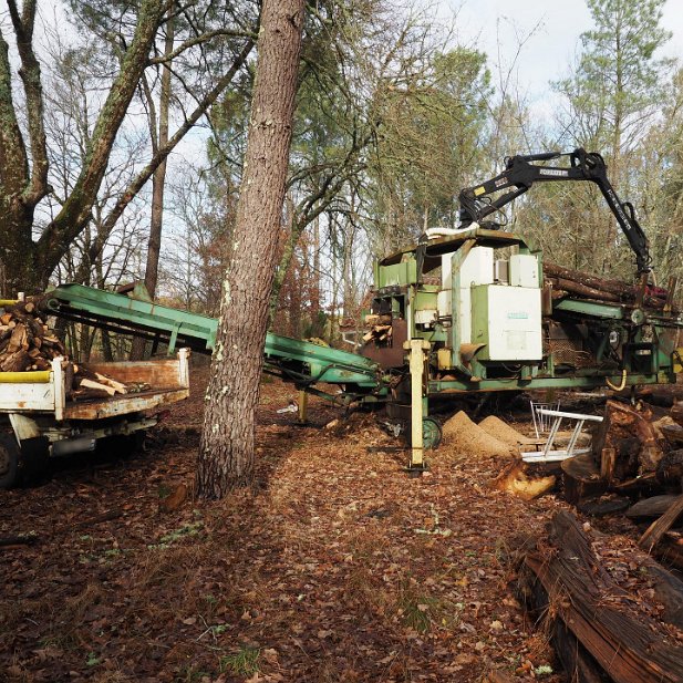 bois de chauffage