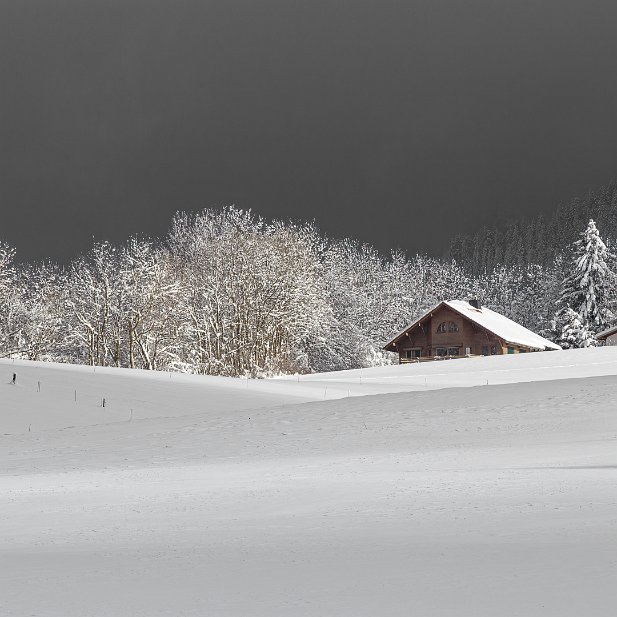 Grisaille hivernale