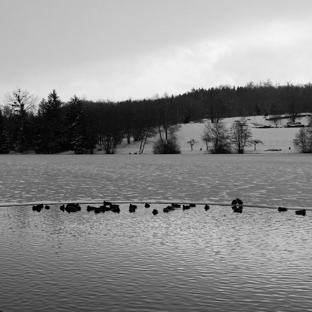 lac des Dronières