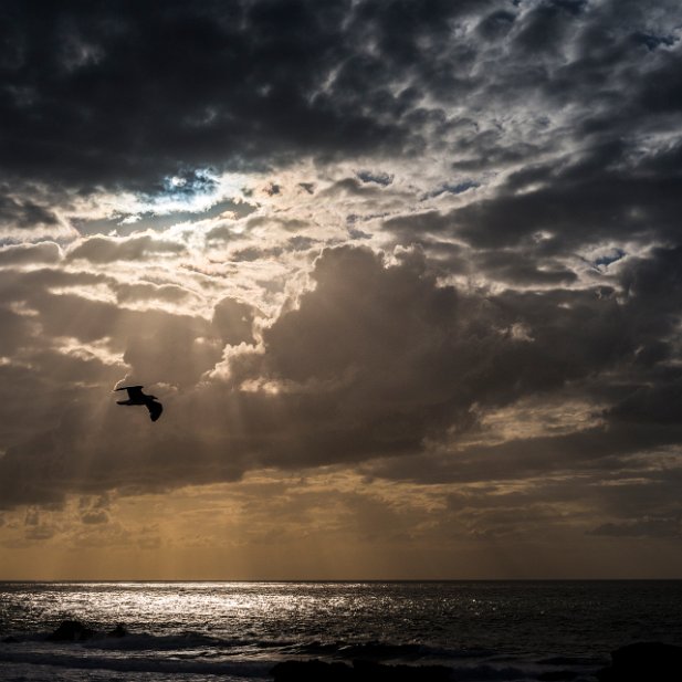 Festival de nuages