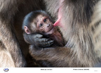 Maman, que c'est bon !