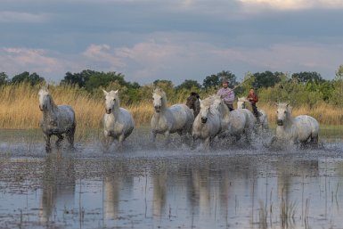 Gardians et Camarguais, la Camargue traditionnelle