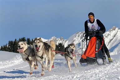 À tout va