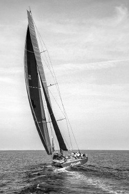 Voiles de St Tropez - Morgana