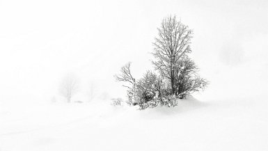 Jour de brume en montagne