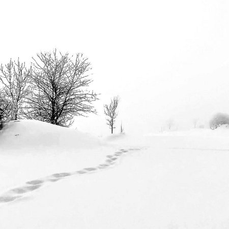 Michèle neige LA NEIGE 