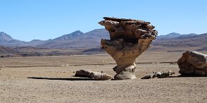 Bolivie: l'arbre de pierre ( Lipez)