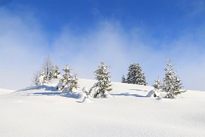 paysage d'hiver plateau Beauregard