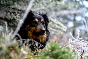 07_couchée dans la mousse