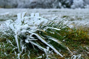 10_Ras des Paquerettes (2)