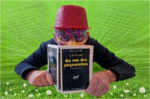 11_RAS DES PAQUERETTES