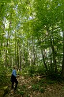 Rb-la forêt 1-c'est haut_