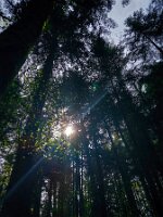 PL_laforet_04_lalumiere
