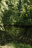 Bt_La Foret_02_ETE