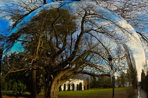 02 - Ce que voit mon poisson rouge