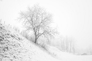 07 - Oh ! Il neige !