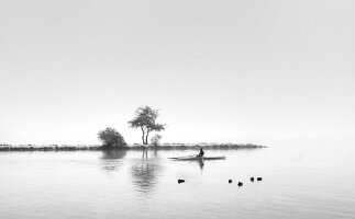 09 - nuances de gris