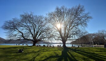 10 - contre jour au parc