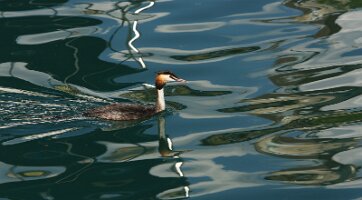 13_Reflet_sur_le_Lac