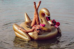 Langage des signes ( cygnes ) null