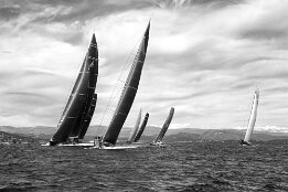 Voiles St Tropez - Course au large null