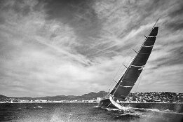 Voiles de St Tropez null