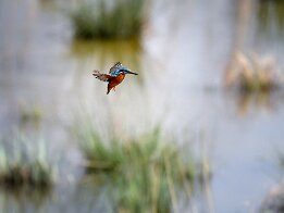 Vol stationnaire null