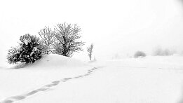 Dans la brume aux Confins null