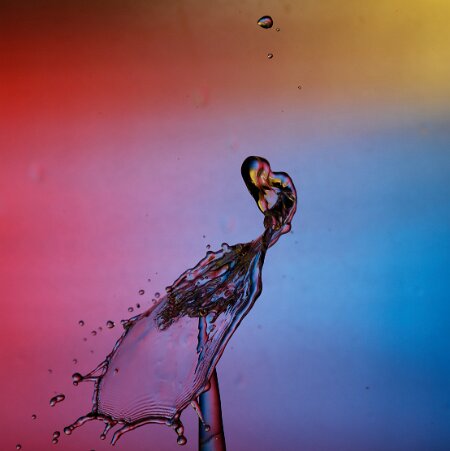 André GOUTTES D'EAU Je vous présente 4 photos qui m’ont demandé beaucoup de patience, un travail assidu et de nombreuses...