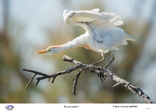 Ma gym matinale ! null