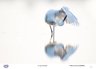 Je vais être belle ! null