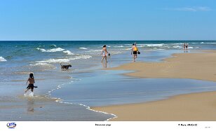 biscarosse plage null