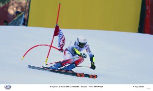 Championnat du Monde kandahar 2020 -- Alexis PINTURAULT null