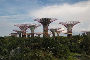 un jardin extraordinaire Singapour