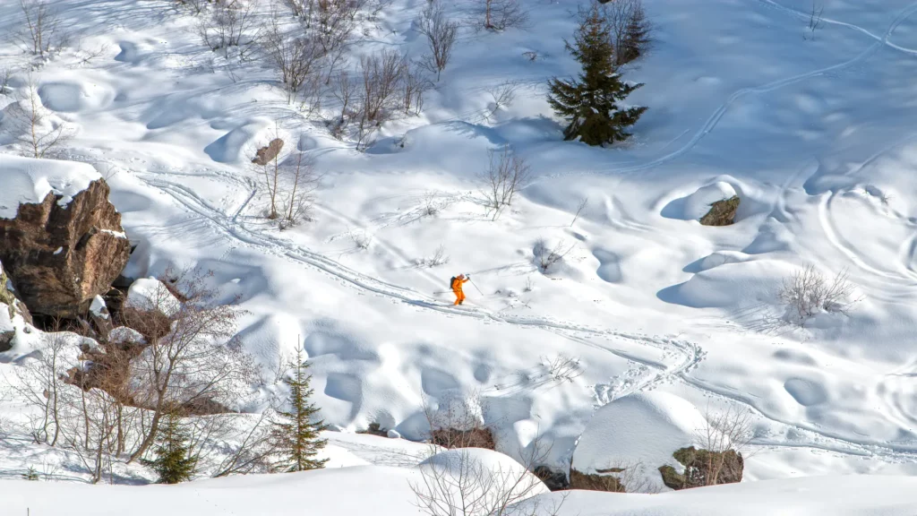 Hors piste aux Ayères - Didier TIERCELET