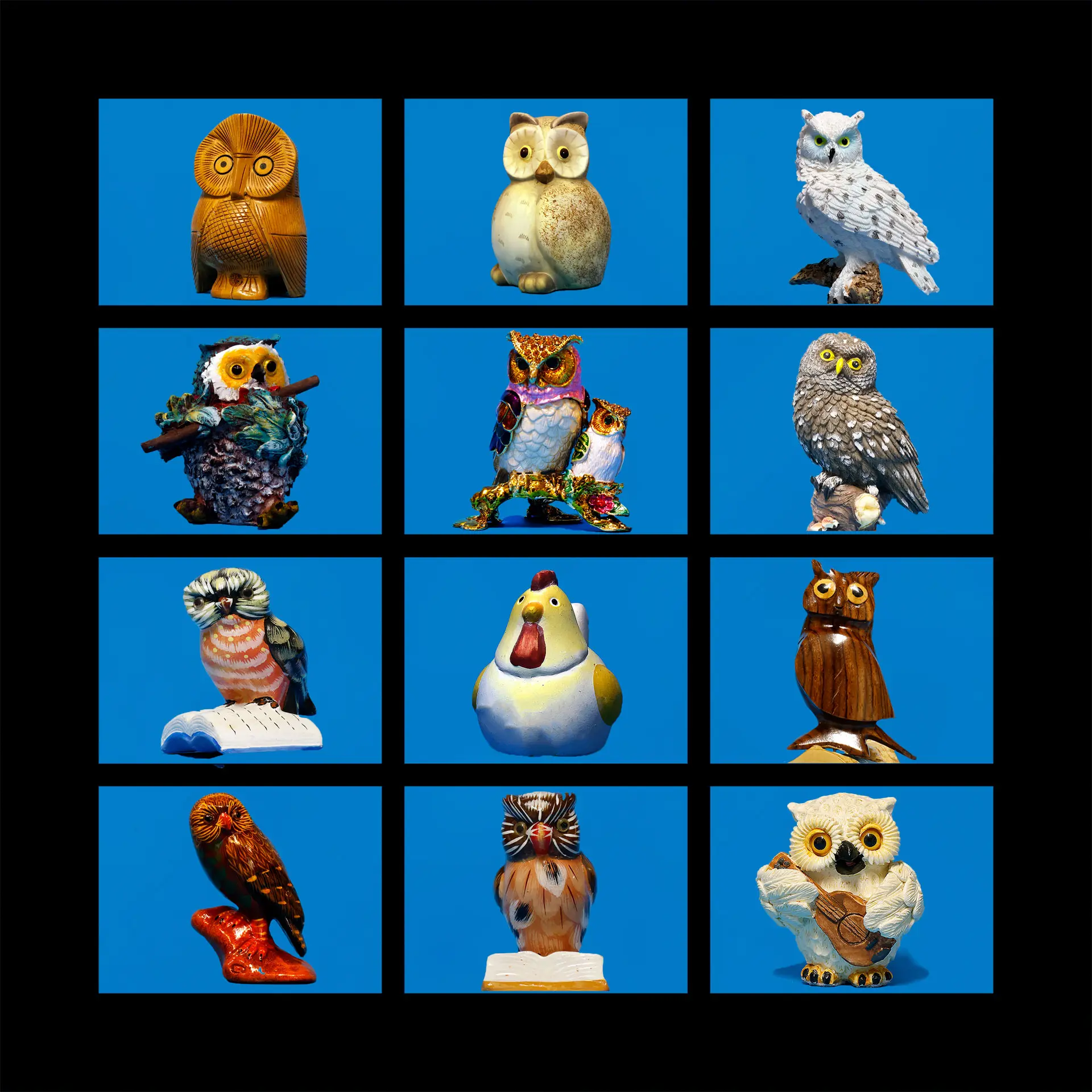 Cherchez l’intrus – C’est chouette – Maurice TRANCHANT