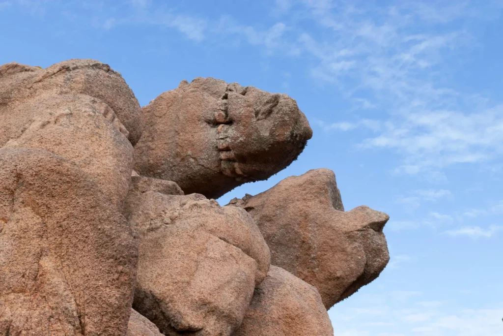 Pareidolie versus pierre - Muriel TIERCELET